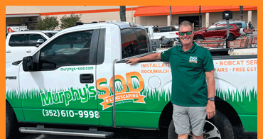 Mark - Landscape Design / Estimator