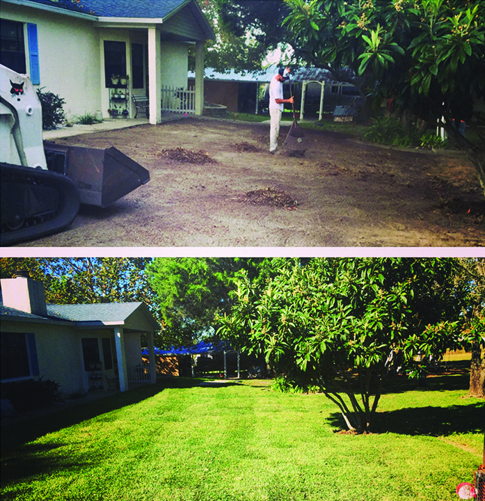 Murphys Sod and lansdscaping sod installation company
